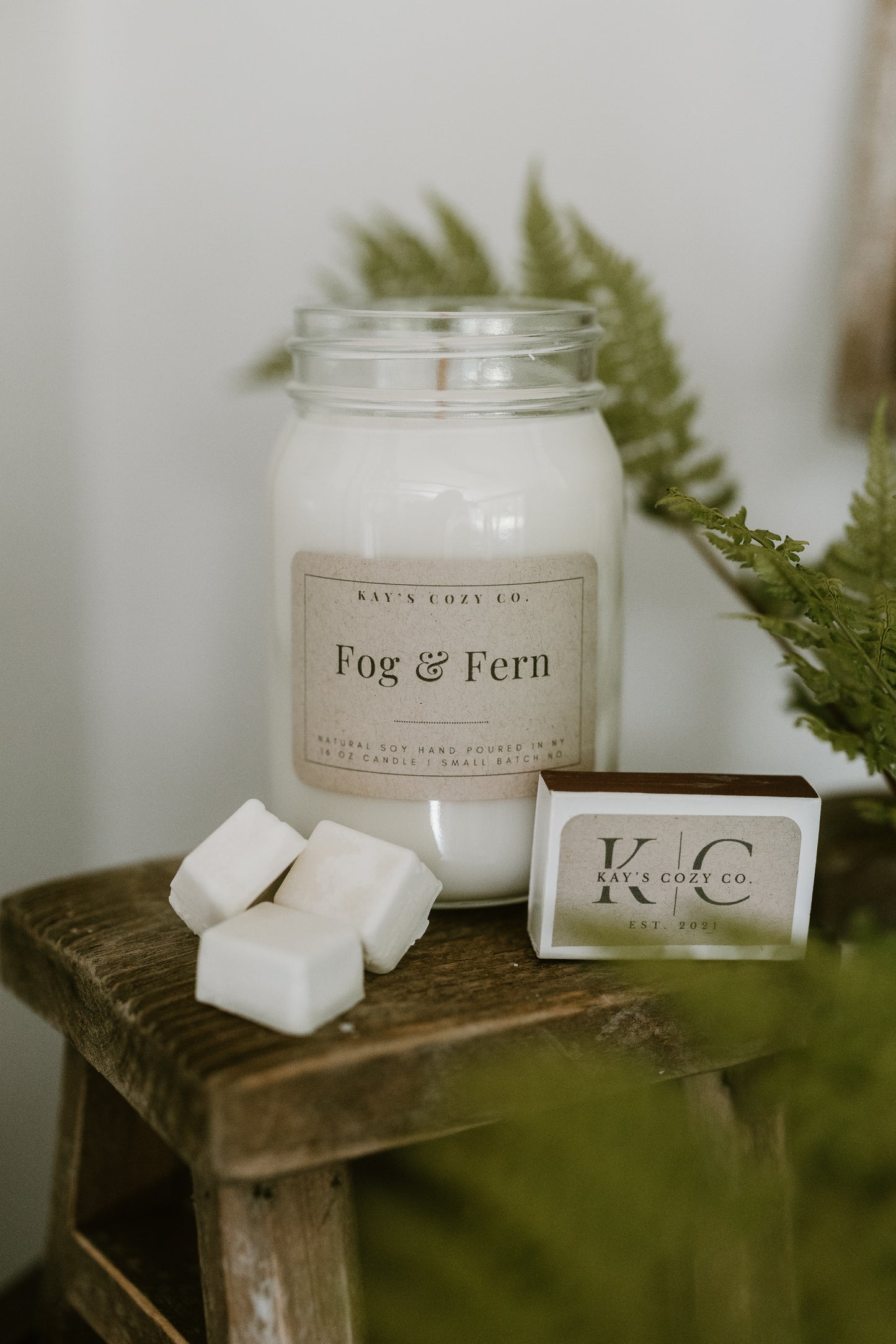 Fog & Fern
