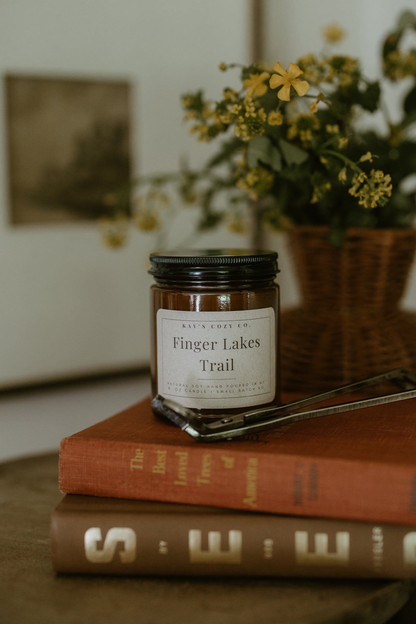 Finger Lakes Trail